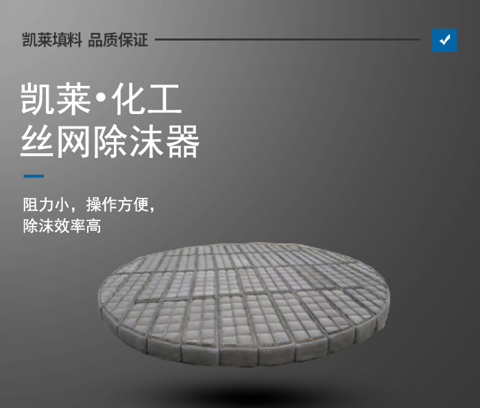 1678169090569897.jpg 絲網(wǎng)除沫器_01.jpg